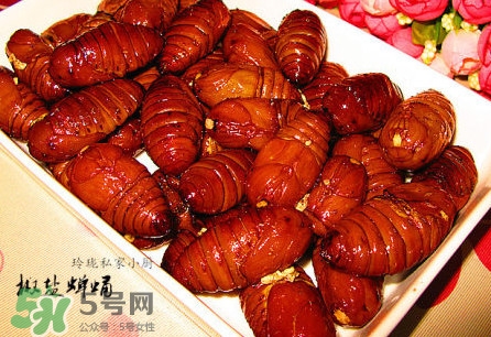 蟬蛹可以保存多長時間？蟬蛹冰凍起來能保存多久