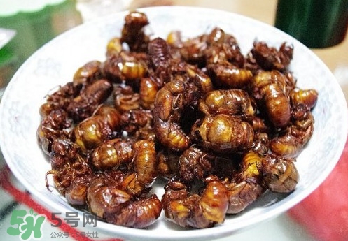 孕婦可以吃蟬蛹嗎？懷孕吃蟬蛹有沒有副作用