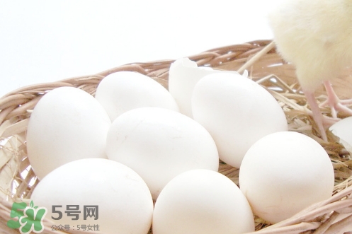 貼三伏貼可以吃雞蛋嗎？貼三伏貼能不能吃雞蛋
