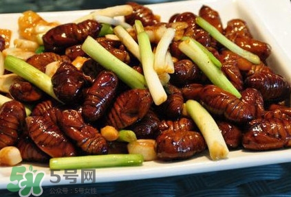孕婦可以吃蟬蛹嗎？懷孕吃蟬蛹有沒有副作用