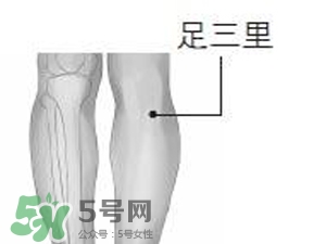 三伏貼能治過敏性鼻炎嗎？三伏貼治過敏性鼻炎貼哪里？