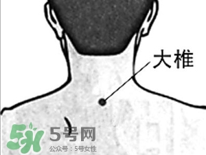 三伏貼能治過敏性鼻炎嗎？三伏貼治過敏性鼻炎貼哪里？