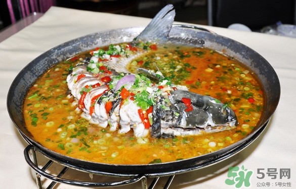 三伏灸可以吃魚(yú)嗎？三伏灸可以吃什么魚(yú)？