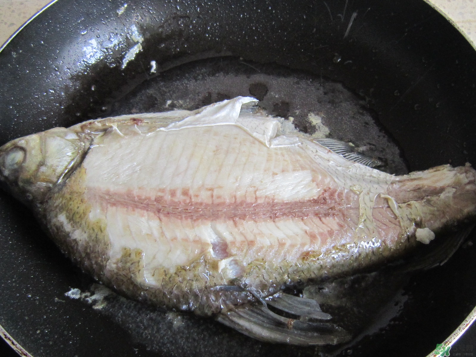 三伏灸可以吃魚(yú)嗎？三伏灸可以吃什么魚(yú)？