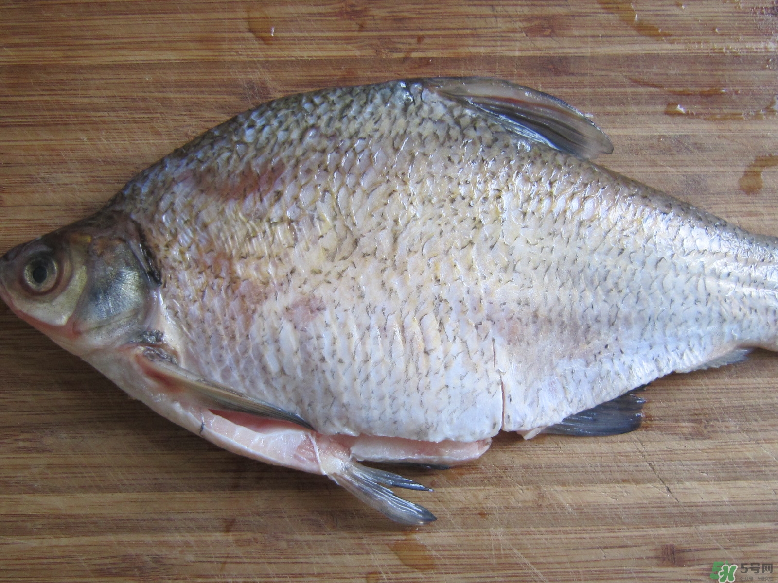 三伏灸可以吃魚(yú)嗎？三伏灸可以吃什么魚(yú)？