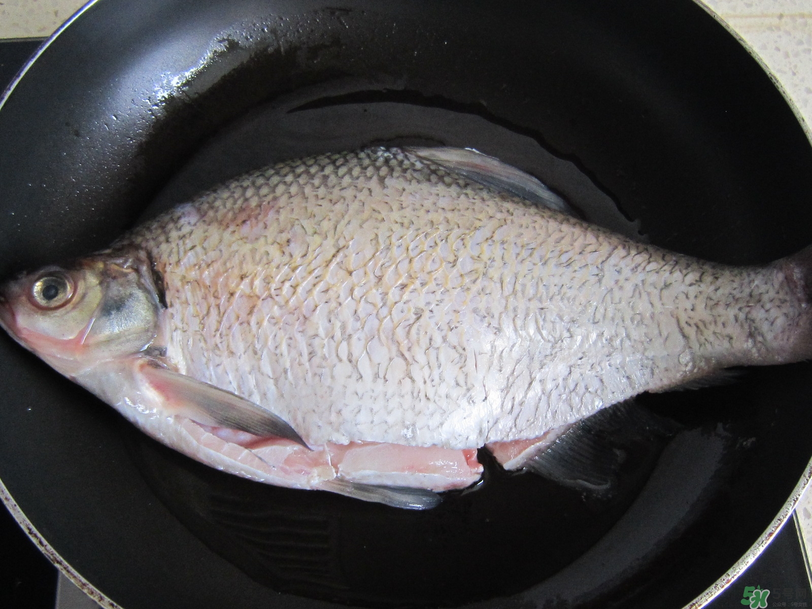 三伏灸可以吃魚(yú)嗎？三伏灸可以吃什么魚(yú)？