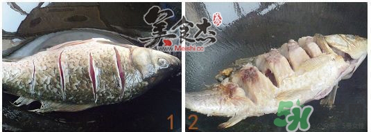 三伏灸可以吃魚(yú)嗎？三伏灸可以吃什么魚(yú)？