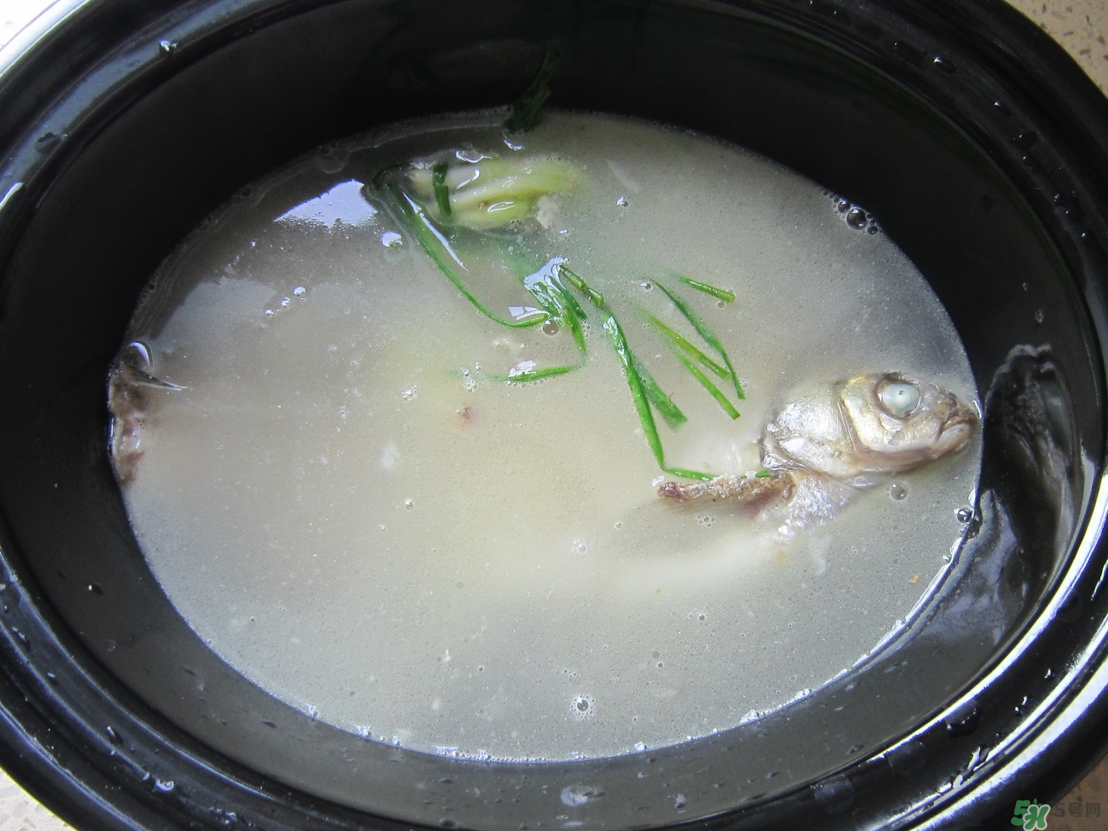 三伏灸可以吃魚(yú)嗎？三伏灸可以吃什么魚(yú)？