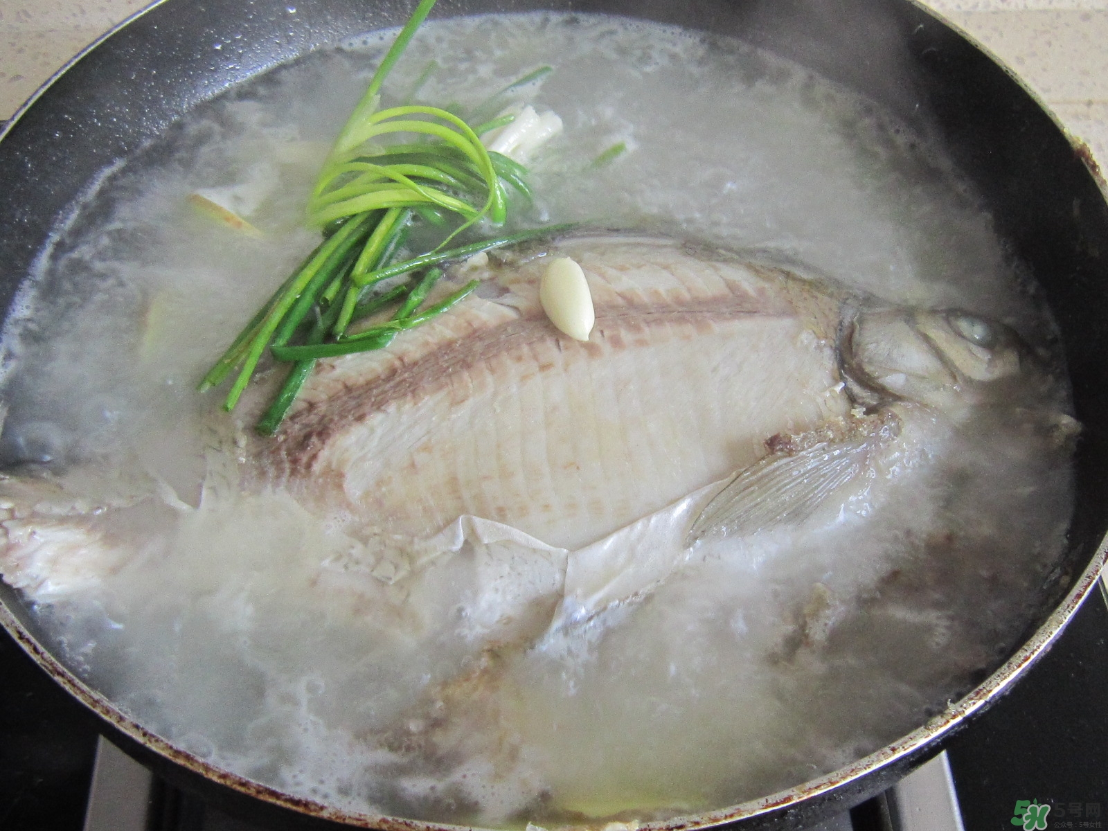 三伏灸可以吃魚(yú)嗎？三伏灸可以吃什么魚(yú)？