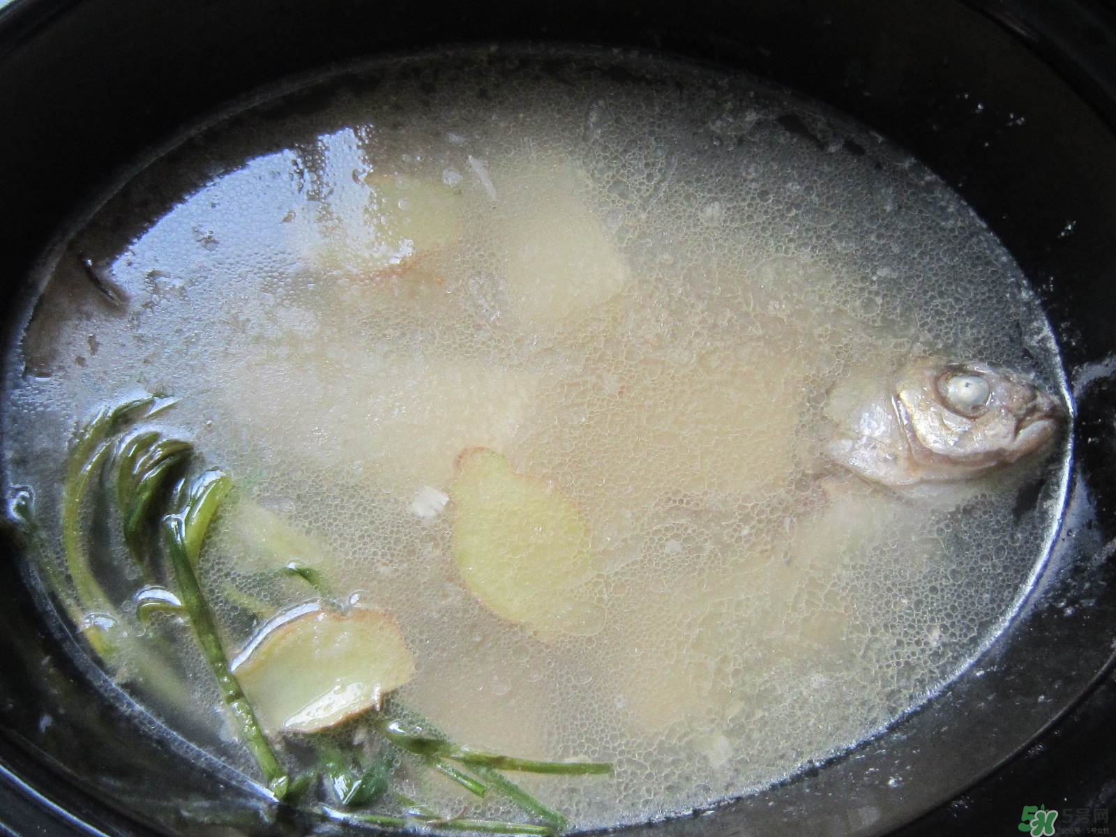 三伏灸可以吃魚(yú)嗎？三伏灸可以吃什么魚(yú)？