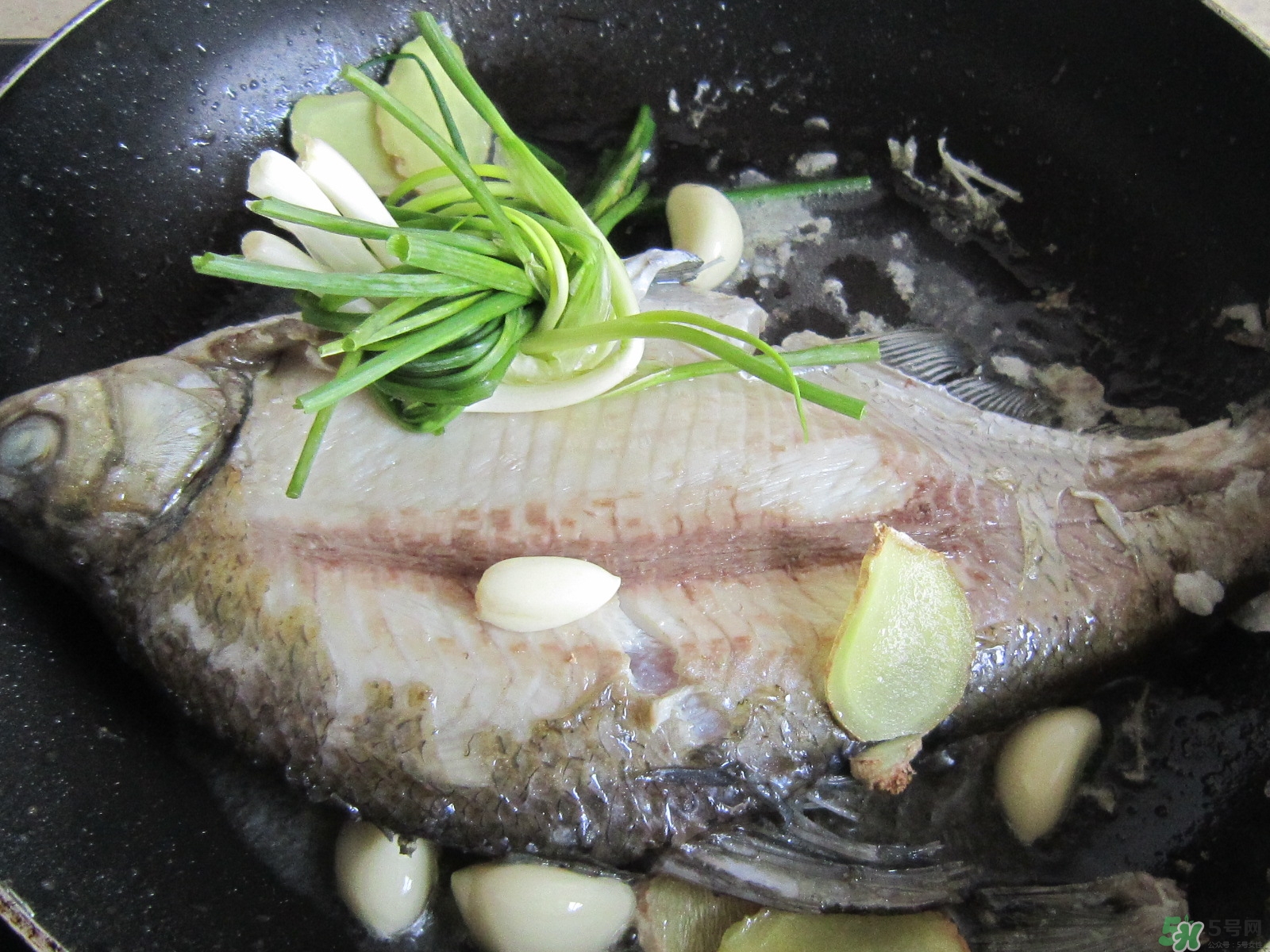 三伏灸可以吃魚(yú)嗎？三伏灸可以吃什么魚(yú)？