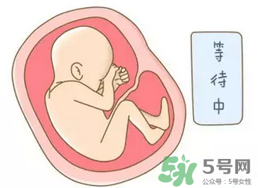 胎位不正能順產嗎？胎位不正怎么辦？