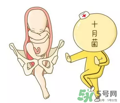 胎位不正能順產嗎？胎位不正怎么辦？