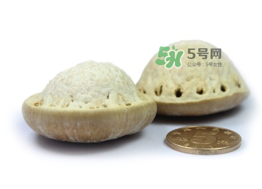 風(fēng)流果泡酒要不要敲碎？壯陽(yáng)果泡水要不要敲碎？