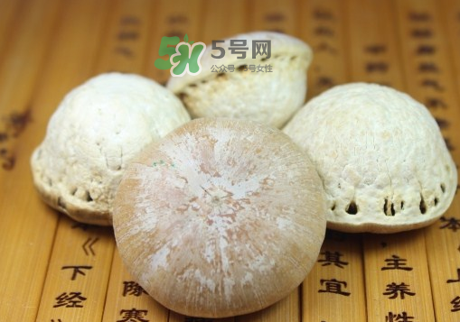 風(fēng)流果泡酒要不要敲碎？壯陽(yáng)果泡水要不要敲碎？
