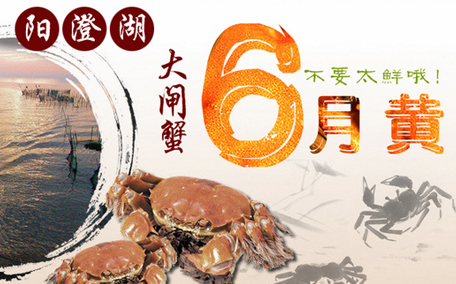 六月黃大閘蟹好吃嗎？六月黃和大閘蟹有什么區別？