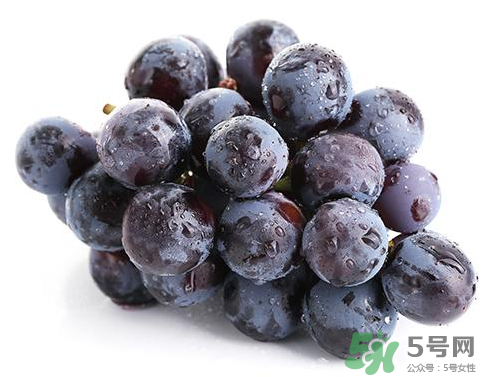 夏黑葡萄是轉基因嗎？夏黑無籽葡萄是不是轉基因的？