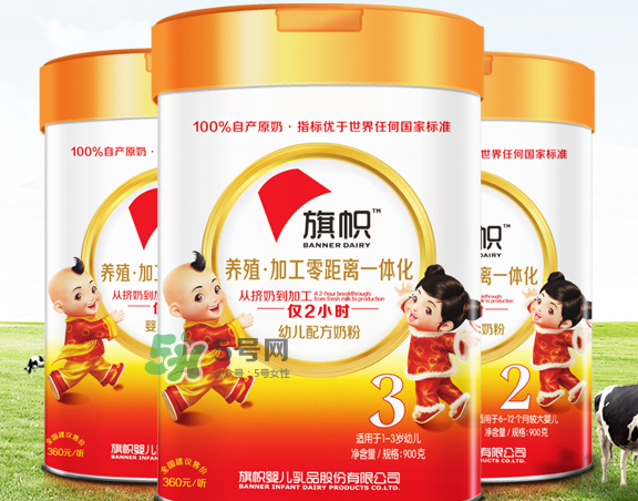 旗幟奶粉怎么樣？旗幟奶粉好不好？