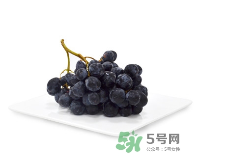 黑提有籽嗎？黑提是什么季節的水果