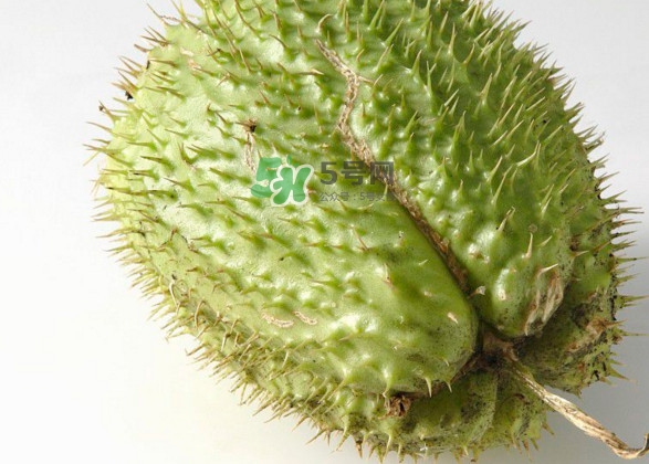 刺果番荔枝多少錢一斤？刺果番荔枝哪里有賣？