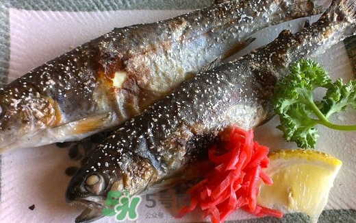 鱒魚是三文魚嗎？鱒魚是什么魚