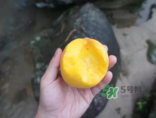 炎陵黃桃什么時候成熟？炎陵黃桃好吃嗎？