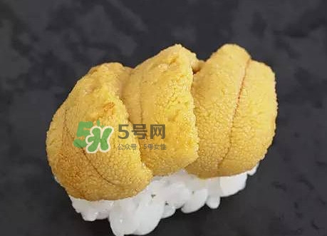 海膽怎么處理？海膽可以生吃嗎？