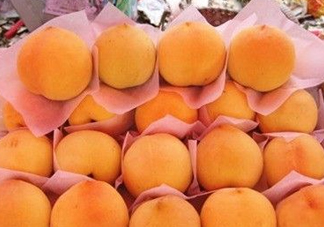錦繡黃桃什么時候成熟？錦繡黃桃?guī)自鲁墒欤?><p><strong>錦繡黃桃什么時候成熟？錦繡黃桃?guī)自鲁墒欤?/strong></p></a></li> <li><a href=