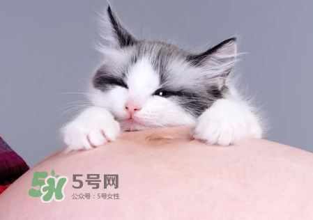 孕婦被貓抓了怎么辦？孕婦被貓抓傷了對(duì)寶寶有什么影響？