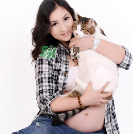 孕婦被貓抓了怎么辦？孕婦被貓抓傷了對(duì)寶寶有什么影響？