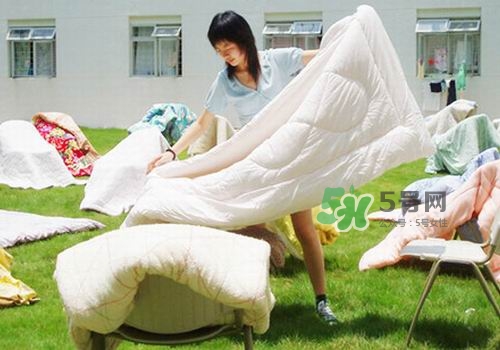 三伏天能曬被子嗎？三伏天曬被子好嗎？