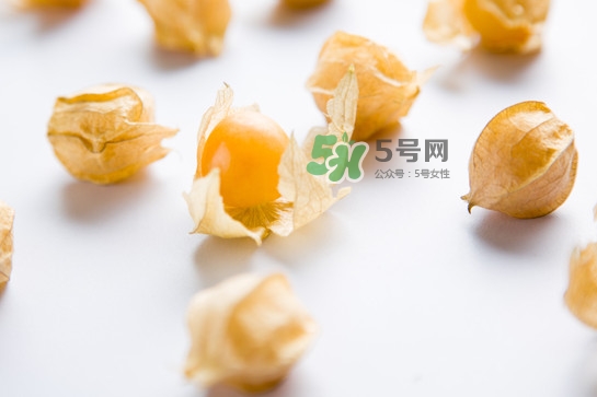 菇娘是寒性還是熱性？菇娘是哪里產的