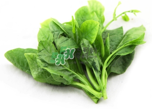 木耳菜怎么清洗？木耳菜怎么擇？