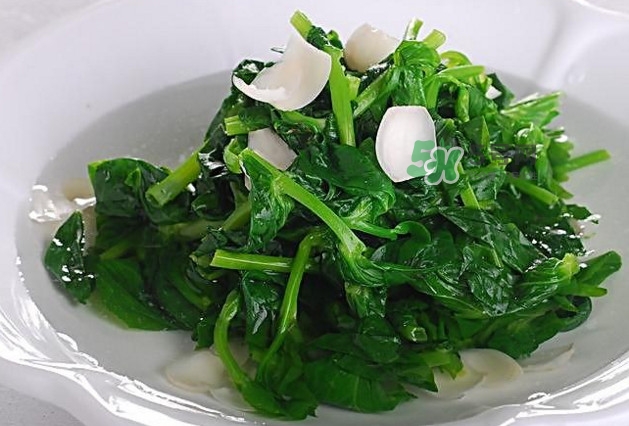 木耳菜是什么菜？木耳菜對人有哪些好處？