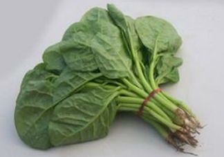 木耳菜怎么清洗？木耳菜怎么擇？