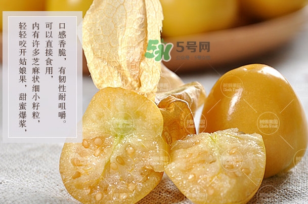 菇娘是寒性還是熱性？菇娘是哪里產的