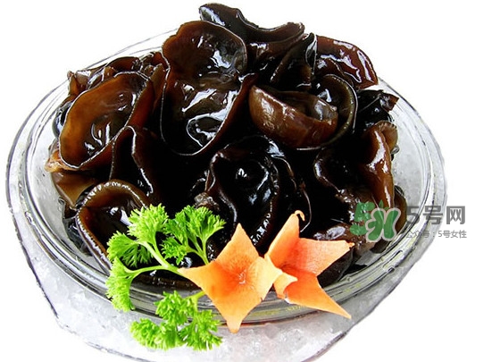 木耳菜是什么季節的菜？木耳和木耳菜有區別嗎