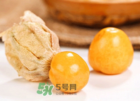 菇娘不能和什么一起吃？紅菇娘泡水喝有什么好處