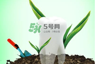 種植牙多少錢一顆？為什么種植牙很貴