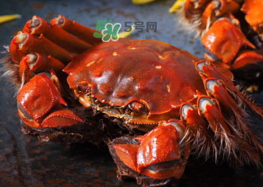 2017年陽澄湖大閘蟹多少錢一斤？2017陽澄湖大閘蟹價格