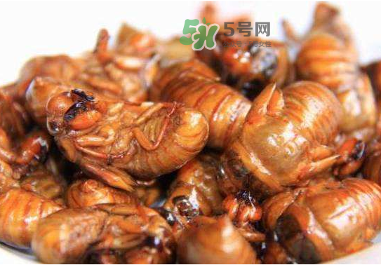立秋后的知了還能吃嗎？立秋還有知了猴嗎？