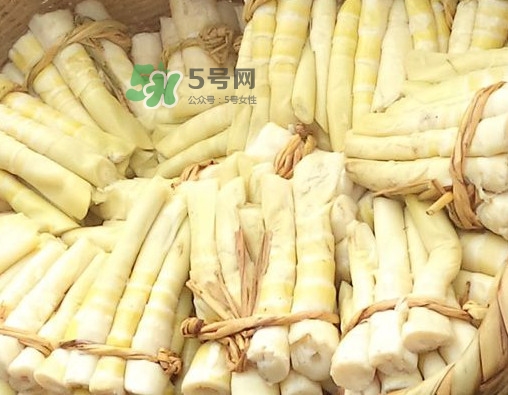 苦筍做法有哪些？苦筍怎么處理才不會苦