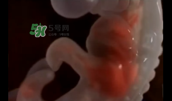 懷孕初期怎么保胎？陰道出血是流產征兆嗎？