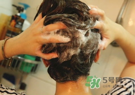 hair recipe水果洗發水怎么樣？hair recipe洗發水哪款好用