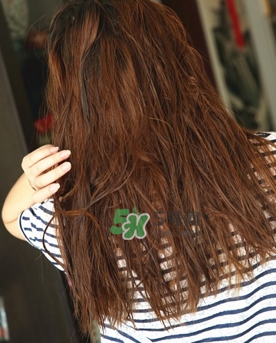 hair recipe水果洗發水怎么樣？hair recipe洗發水哪款好用