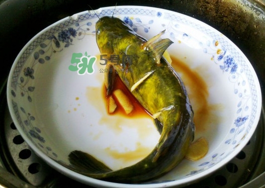 黃刺魚(yú)死了能吃嗎？黃刺魚(yú)不能與什么同食