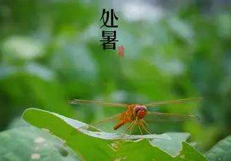 立秋為什么在處暑前？為什么立秋早過(guò)處暑？