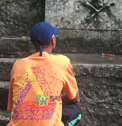 palace2017秋冬新款tri ferg tee什么樣_什么時候發售？