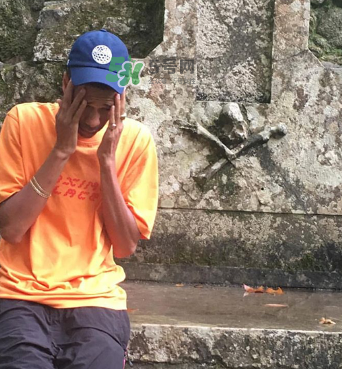 palace2017秋冬新款tri ferg tee什么樣_什么時候發售？