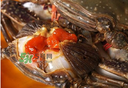 梭子蟹有蟹黃嗎？梭子蟹蟹黃在哪里？